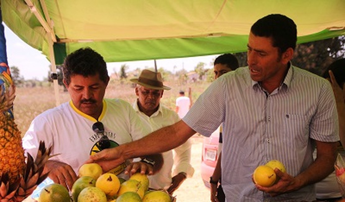 Agricultores familiares divulgam produtos na 1ª Expo Frutas