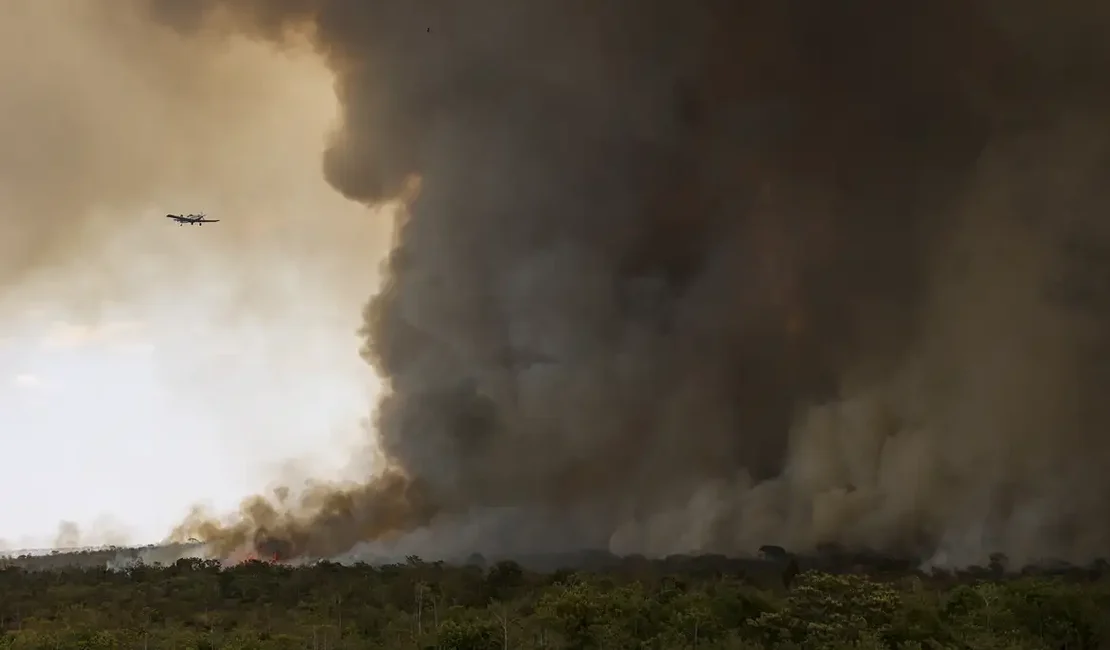 Sem chover há 46 dias, fogo avança e queima 700 hectares do Parque Nacional de Brasília