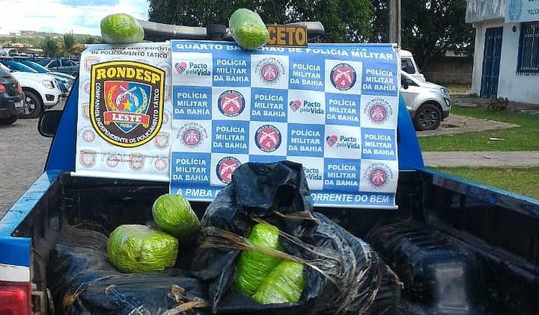 Abordagem a suspeitos leva PM a encontrar meia tonelada de maconha na Bahia