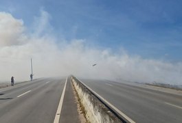 Corpo de Bombeiros já registrou 526 ocorrências de incêndios este ano em Alagoas
