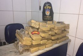 Polícia Militar localiza cerca de 50 kg de maconha enterrada em mata em Maceió