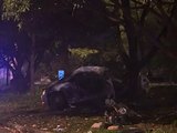 Porsche bate em árvore, pega fogo e duas pessoas morrem carbonizadas no interior de SP