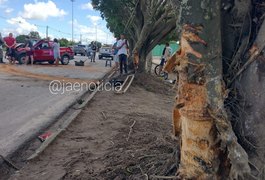 Vídeo. Homem perde controle de carro e bate em árvore e fica preso às ferragens na AL-220, em Arapiraca