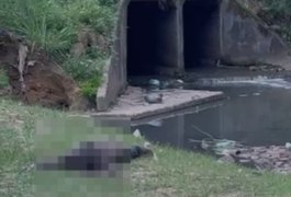Corpo é encontrado em córrego na região da Grota Pau D’Arco, na Avenida Leste-Oeste