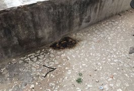 Morador de rua tem parte do corpo incendiado em Maceió