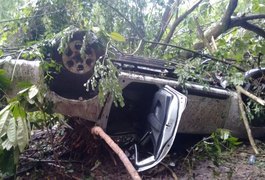 Cantora Rose D'Paula sofre grave acidente na rodovia BR-104, em Murici