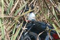 5º BPM recupera motocicleta furtada na porta de residência na parte alta de Maceió