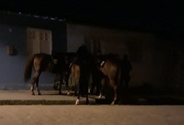 Homem é encontrado morto dentro de residência no bairro Brasiliana, em Arapiraca