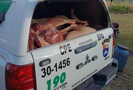 Abatedouro clandestino é fechado e responsável é preso por crime ambiental, ﻿em União dos Palmares