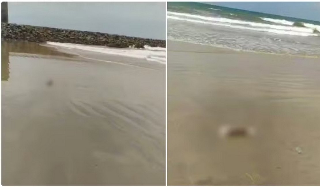Banhistas encontram partes de corpo humano em praia de Fortaleza