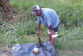 Ossada humana é encontrada por trabalhador às margens da BR-316