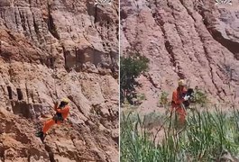 Vídeo. Bombeiros utilizam técnica de rapel para resgatar cachorro preso em ribanceira