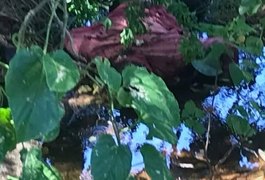 Populares encontram corpo boiando em riacho no Sertão alagoano