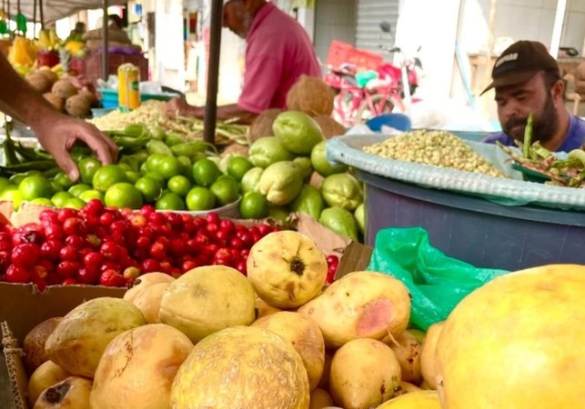 Feiras livres de domingo serão antecipadas para sábado em Arapiraca