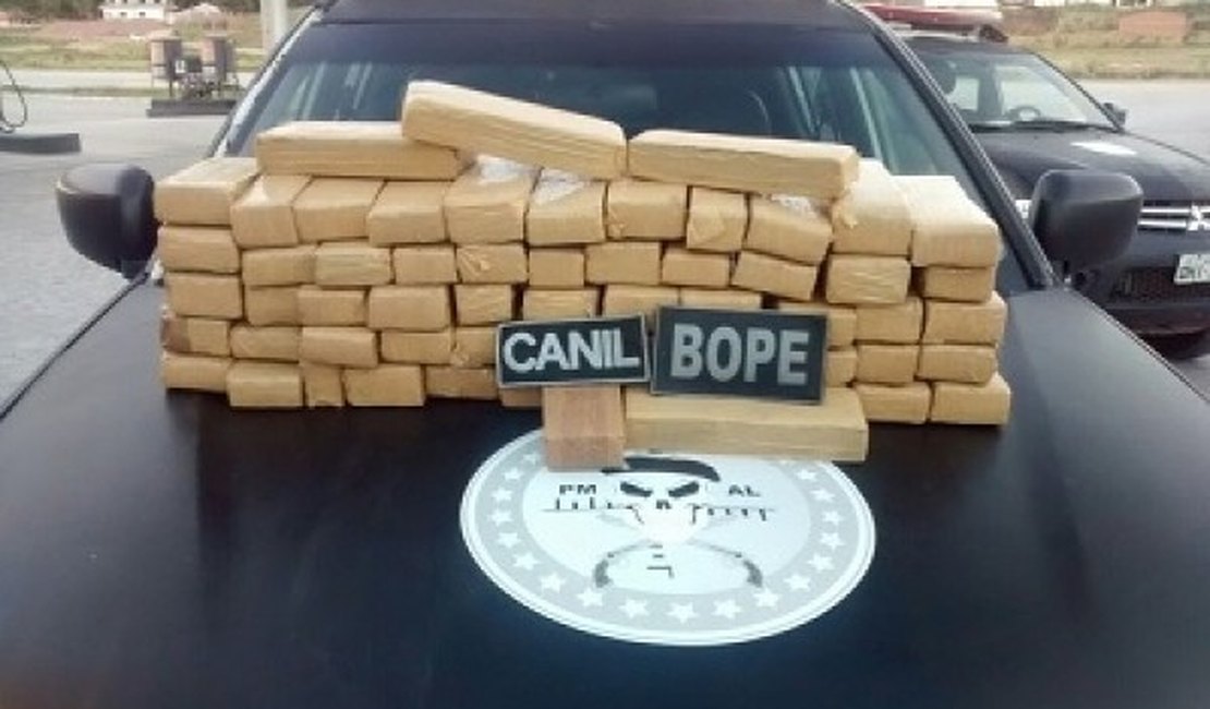 BOPE apreende cerca de 50Kg de maconha e prende três durante operação