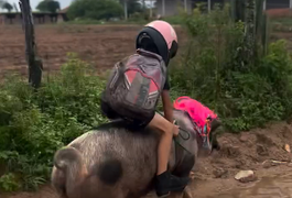 VÍDEO: Menino volta da escola montado em porco em Girau do Ponciano