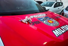 PM prende dois homens por tráfico de drogas em shopping na parte alta de Maceió