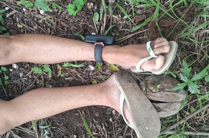 Dois homens são encontrados mortos em área de mata, em ﻿Porto de Pedras, Litoral Norte de Alagoas