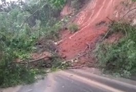 Deslizamento de barreira quase atinge carro e deixa rodovia parcialmente interditada, em Atalaia; assista