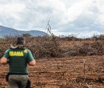 Fiscalização embarga 40 áreas na Caatinga alagoana em dez dias