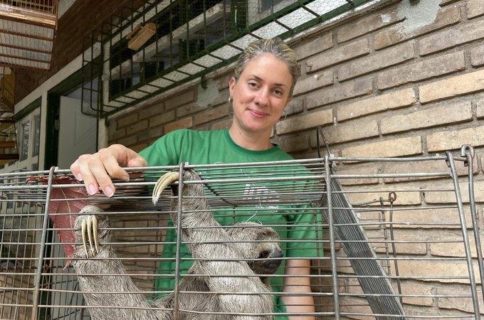 Inusitado: bicho-preguiça é resgatado em ônibus de Maceió