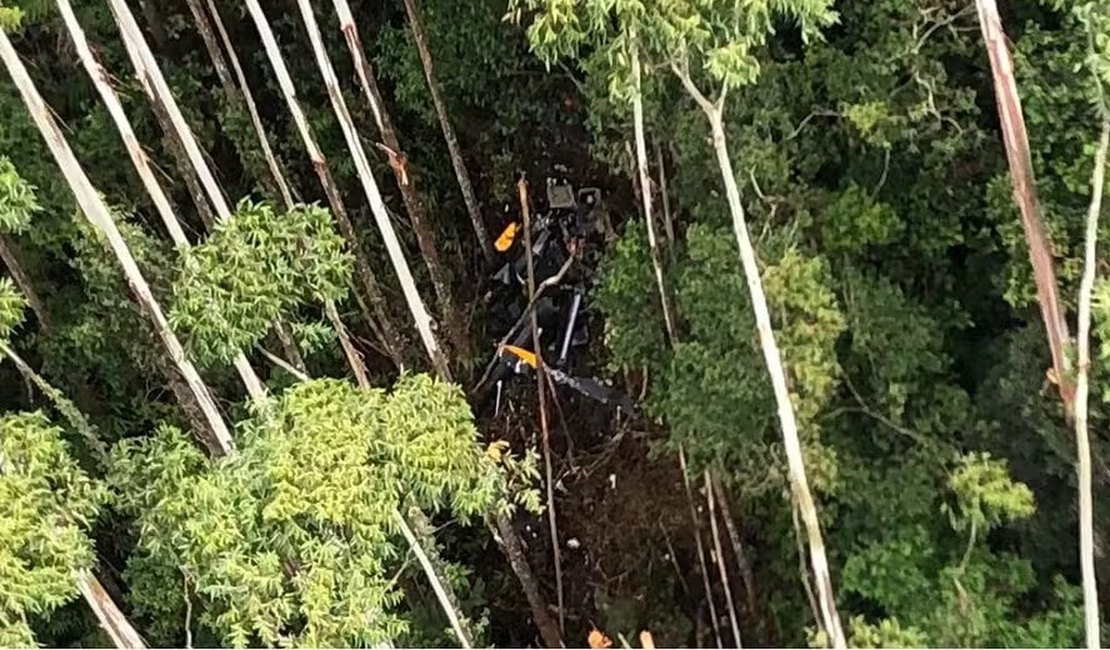 Helicóptero que caiu em SP se chocou com árvore, diz Cenipa