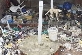 Vídeo. Moradores de Folha Miúda denunciam acúmulo de lixo e maus-tratos a animal