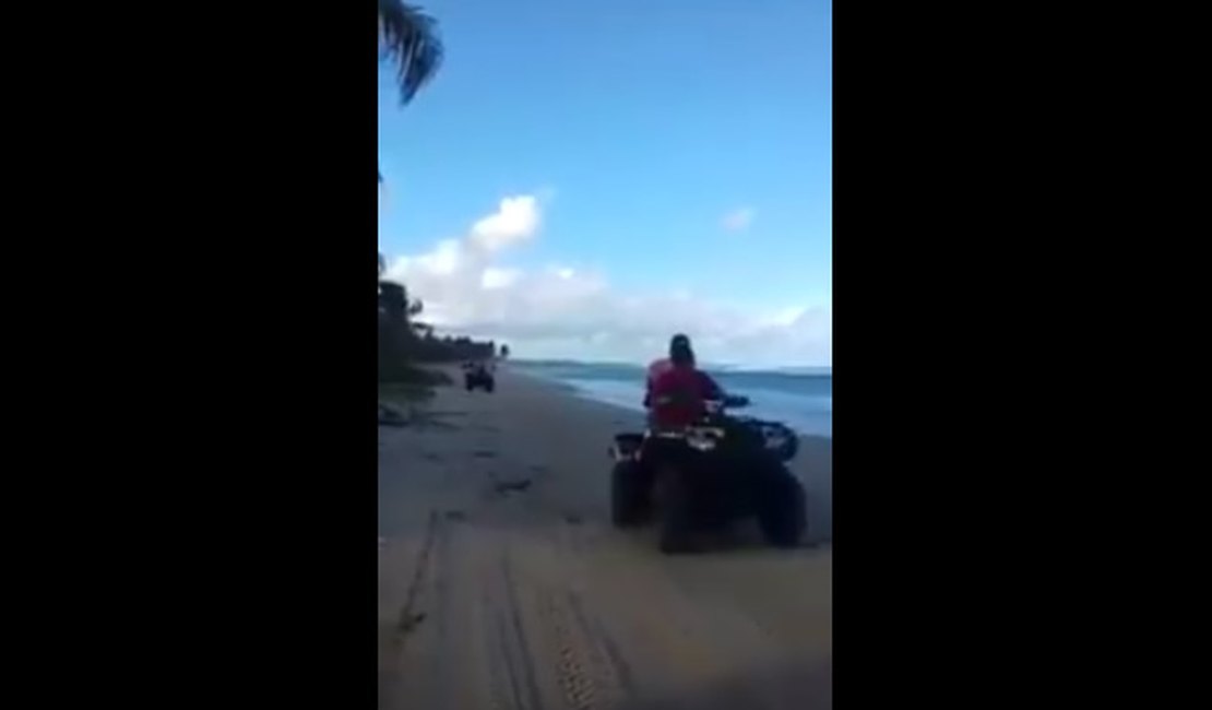 Vídeo: quadriciclos atropelam filhotes de tartaruga na Praia do Gunga