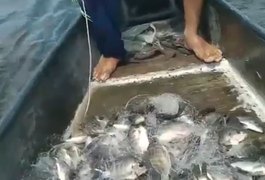 Após seca, pescadores comemoram “fartura” de peixes novamente na Lagoa do Pé Leve
