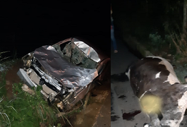 VÍDEO. Colisão entre carro e vaca resulta em uma pessoa ferida em Girau do Ponciano