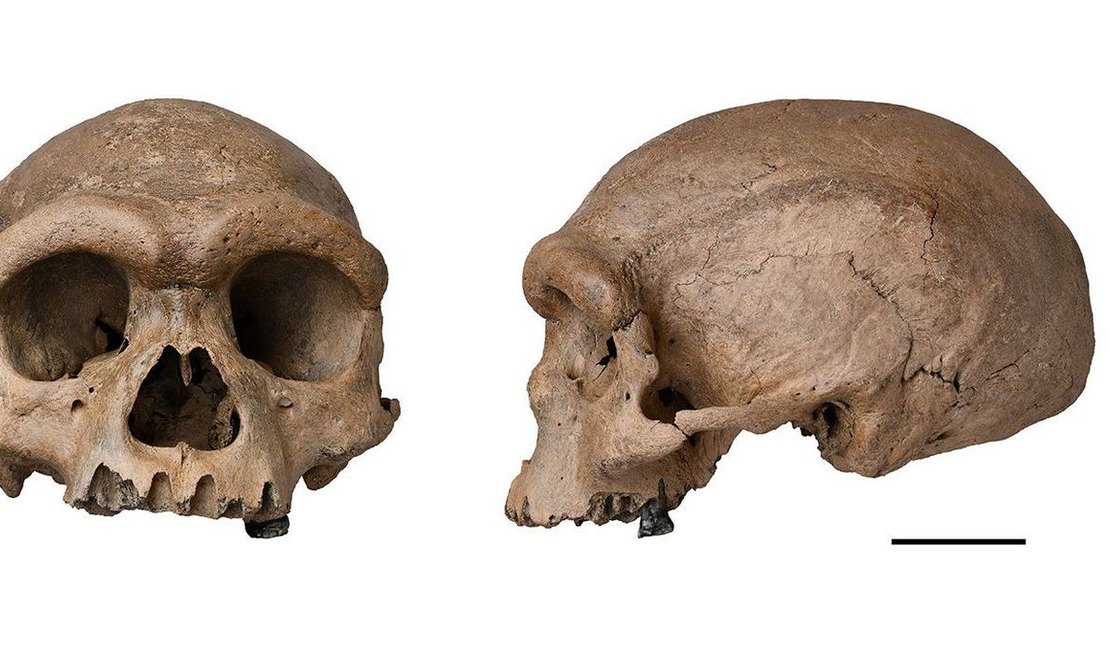 Arqueólogos descobrem fóssil de espécie mais próxima ao Homo sapiens