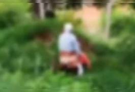 'O velhinho está melhor que você': Casal de idosos é flagrado fazendo sexo ao ar livre; assista