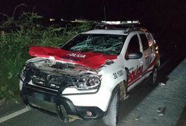 Policiais são surpreendidos por cavalo solto na pista e viatura atinge animal, no Sertão de AL