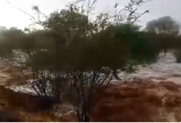 Vídeo mostra moradores do Sertão alagoano comemorando chegada da chuva