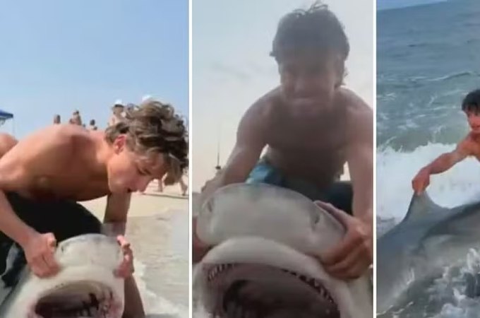 'Trend' leva pessoas a puxar tubarões para a praia para fotos e preocupa prefeito nos EUA