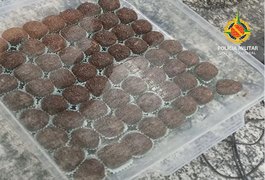 PM prende jovens vendendo brigadeiro com maconha em bloco de carnaval em Brasília