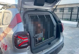 PM prende homem por obstrução do trabalho da polícia durante abordagem na Feira do Rato