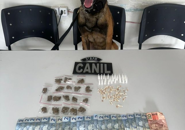 Cão farejador encontra drogas em área de mata e suspeito de 19 anos é preso, em Arapiraca