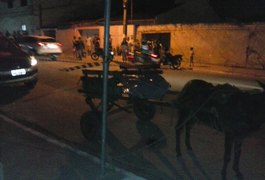 Polícia aborda carroceiro transportando corpo de homem assassinado a tiros em Arapiraca