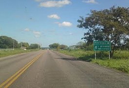 Caminhão carregado de galinhas é levado em assalto