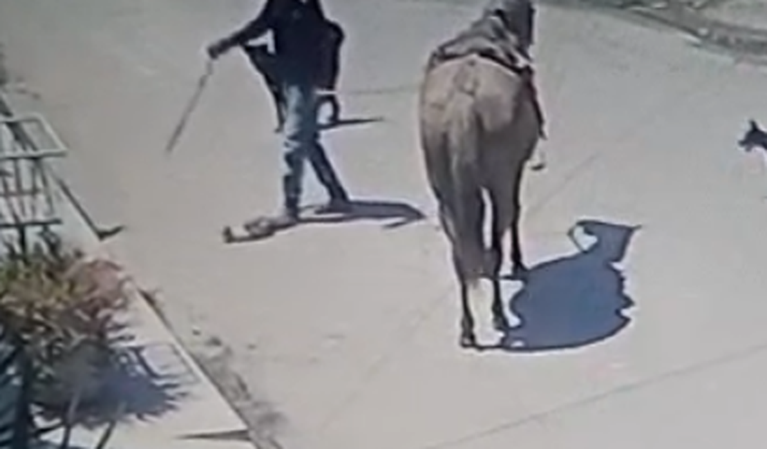 VÍDEO: Homem chuta gato ferido e dá chicotada para matá-lo em loteamento de Arapiraca