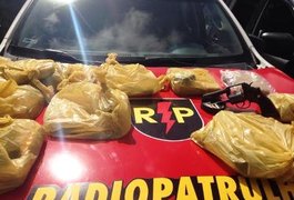 Com ajuda de cães farejadores PM apreende 1,2 kg de maconha