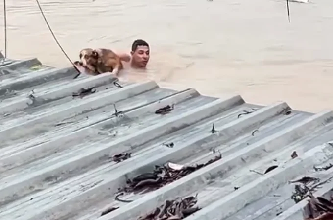 VÍDEO: Homem salva vida de cachorro durante inundação em bairro de Olinda
