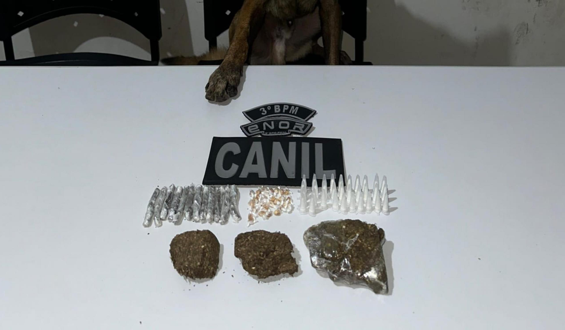 PM-AL apreende 33 armas e quase 14 quilos de drogas em uma semana