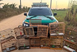 PM-AL apreende duas armas de fogo e resgata 59 animais silvestres em ações de fiscalização