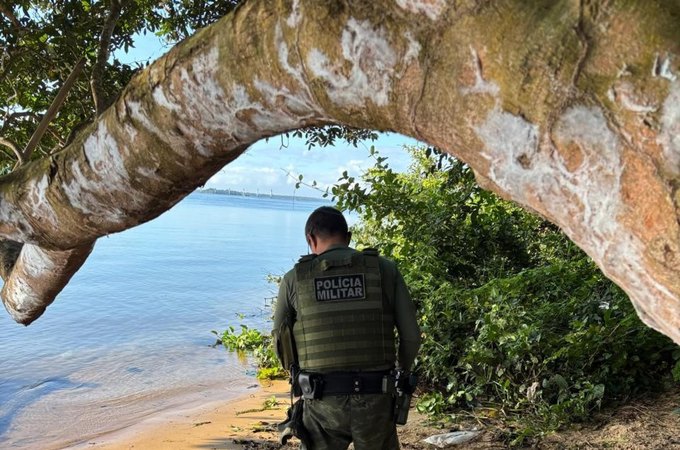 Em seis dias, operação policial apreendeu 15 armas de fogo e resgataram mais de 650 animais, em Alagoas