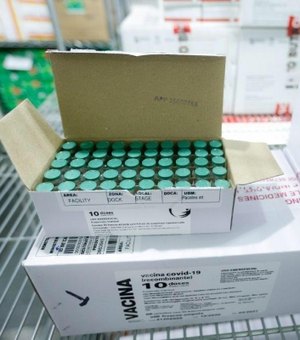Butantan entrega 600 mil doses de Coronavac ao Ministério da Saúde