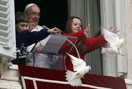 Pomba libertada por Papa Francisco é atacada por gaivota no Vaticano