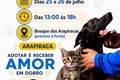 Feirinha de adoção de cães e gatos acontece nos dias 25 e 26 de julho em Arapiraca
