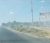 Incêndios atingem áreas de vegetação às margens da AL-115, em Arapiraca